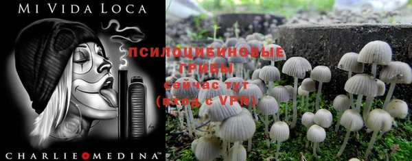 винт Алексин