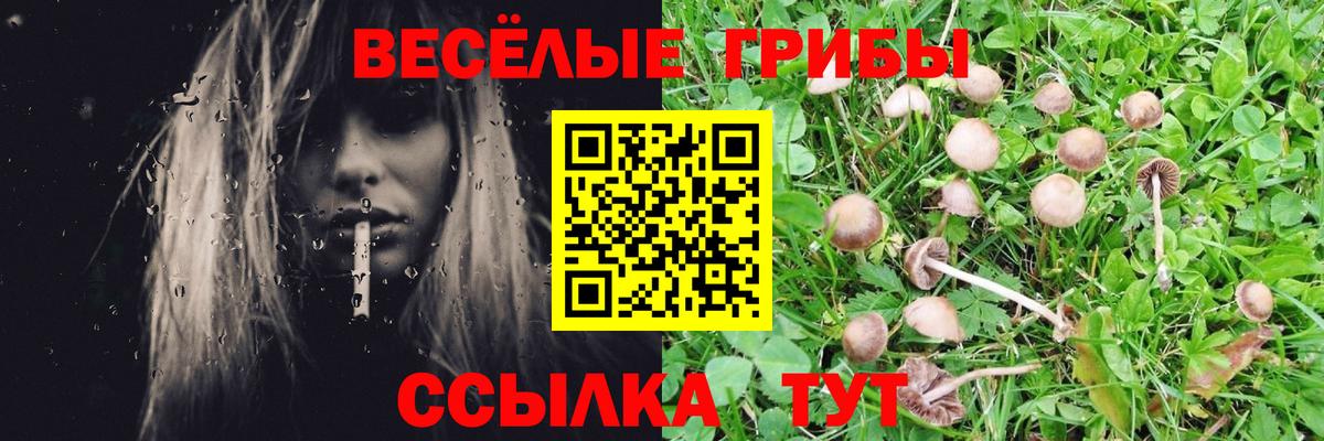 Лосино-Петровский  Псилоцибиновые грибы Psilocybe  Вход с VPN  Псилоцибиновые грибы Magic Shrooms 