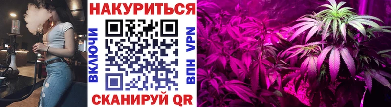 купить наркотики цена  Лосино-Петровский  Каннабис индика 